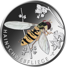 Hainschwebfliege Hainschwebfliege