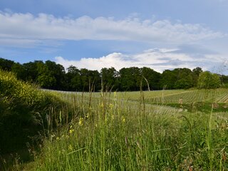 Protection de l'environnement chez THIEME