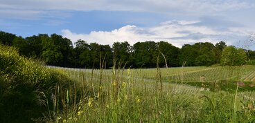 Protection de l'environnement chez THIEME